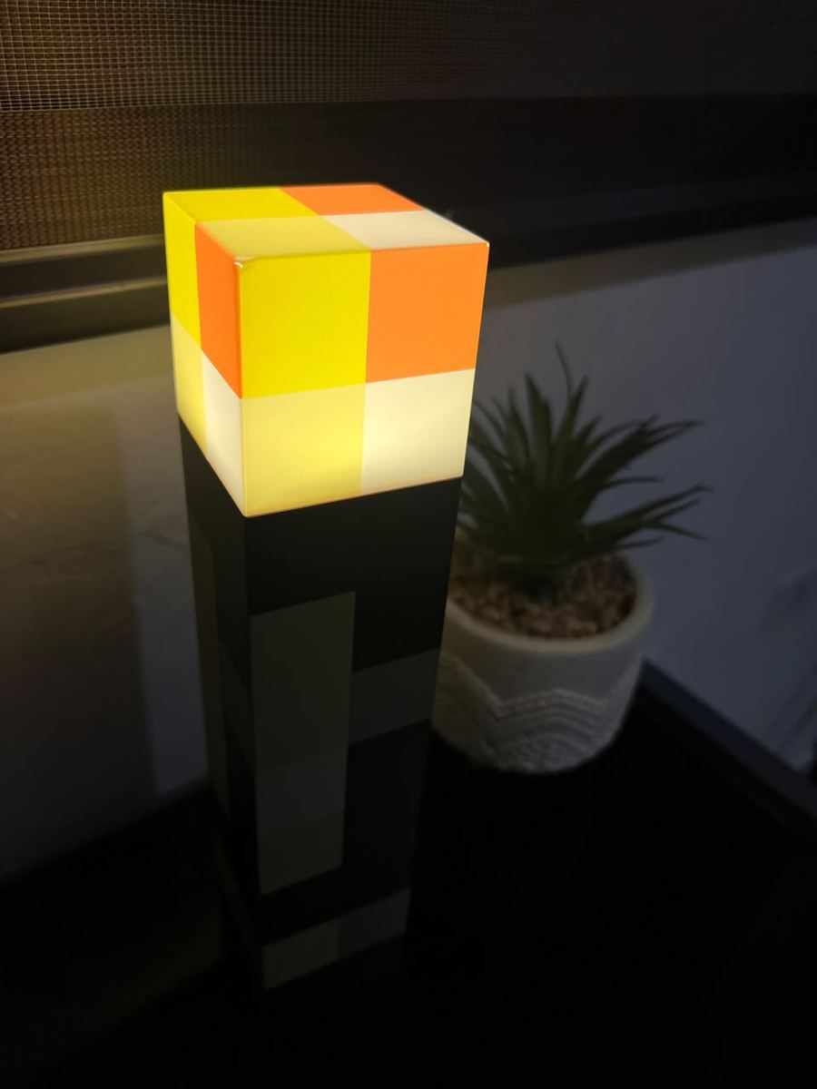 Foto real enviada por Raúl H. de su Antorcha Pixel encendida
